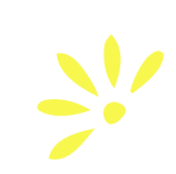 wzorek 2